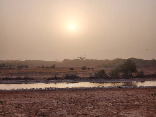 REDISCOVERING THE SAVANA
