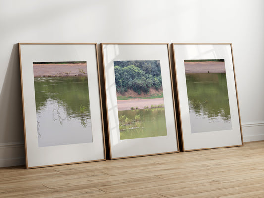 BIOPHILIA IN ART