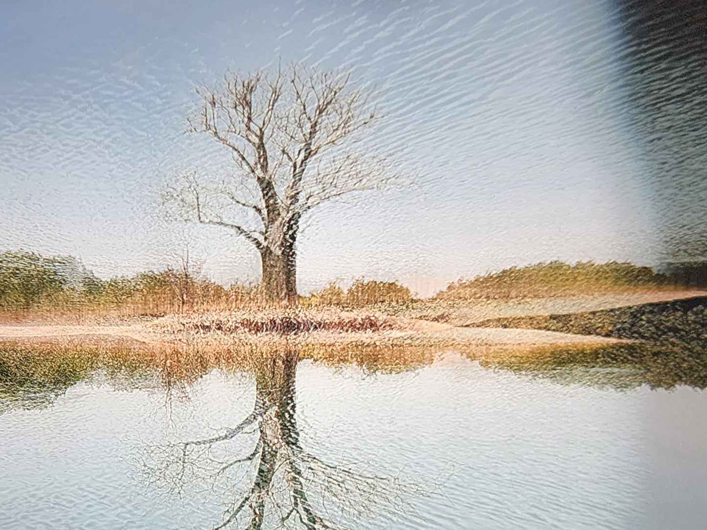 THE WISE WATER